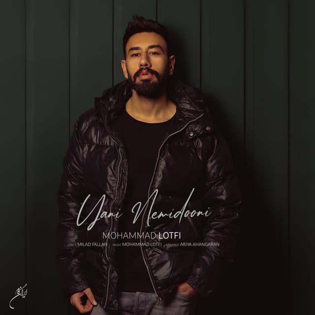 Yani Nemidooni · Mohammad Lotfi