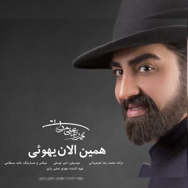 Hamin Alan Yehoei · Mohammadreza Alimardani