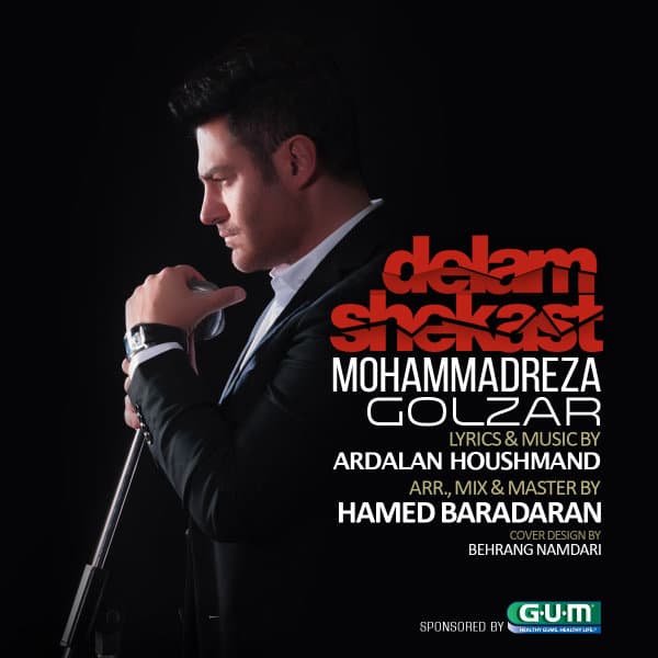 Delam Shekast · Mohammadreza Golzar