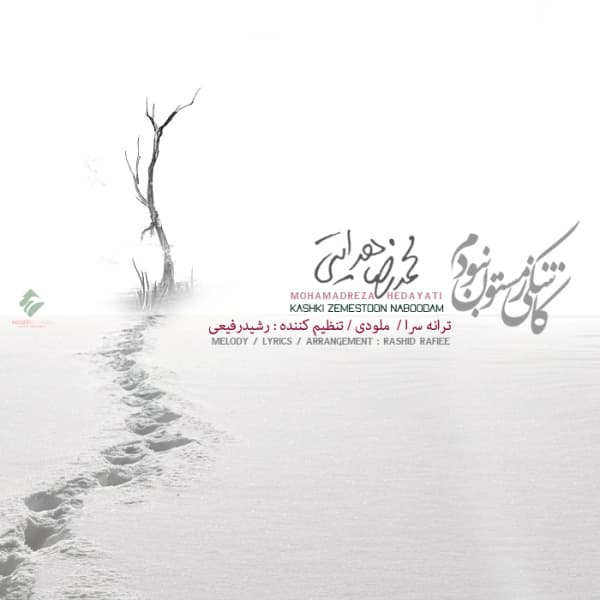 Kashki Zemestoon Naboodam · Mohammadreza Hedayati