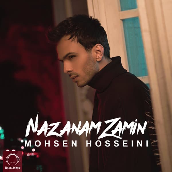 Nazanam Zamin · Mohsen Hosseini
