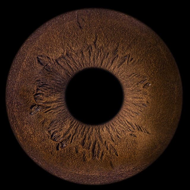 Black Hole · Naghib Shanbehzadeh