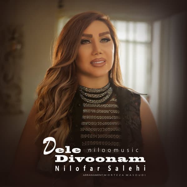 Dele Divoonam · Niloofar Salehi