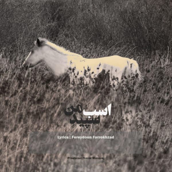 Asbe Sepide Man · Omid Eskandar & Setare Ghoreyshi