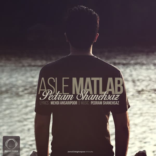 Asle Matlab · Pedram Shanehsaz