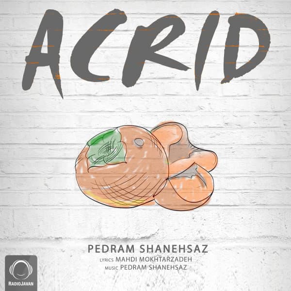 Bekhand · Pedram Shanehsaz