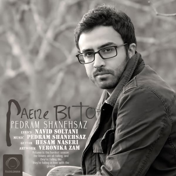 Paeize Bi To · Pedram Shanehsaz
