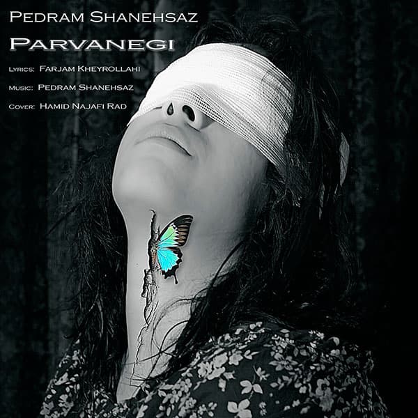 Parvanegi · Pedram Shanehsaz