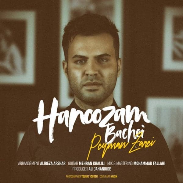 Hanoozam Bachei · Peyman Zarei