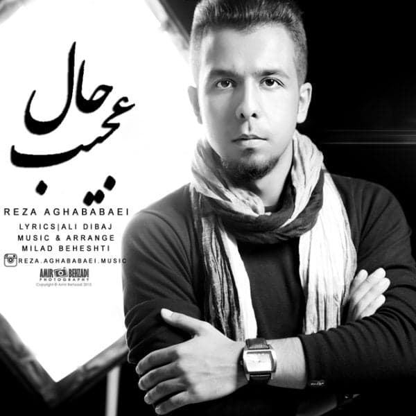 Hale Ajib · Reza Aghababaei