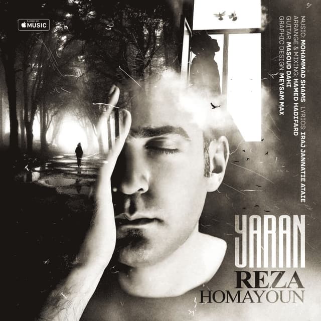 Yaran · Reza Homayoun