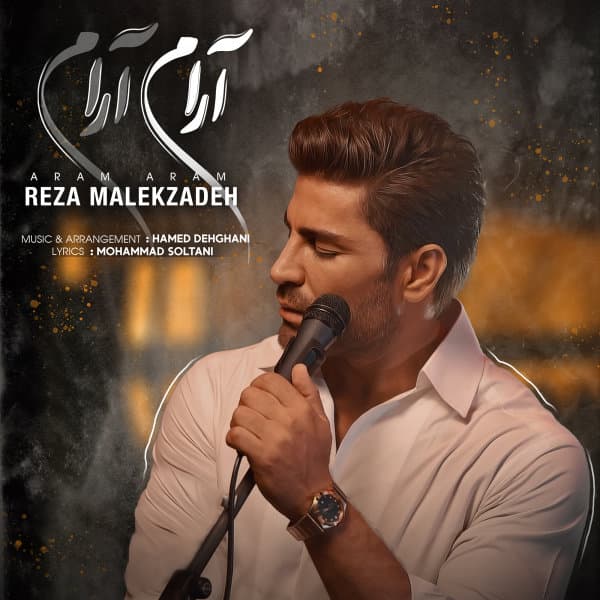 Aram Aram · Reza Malekzadeh