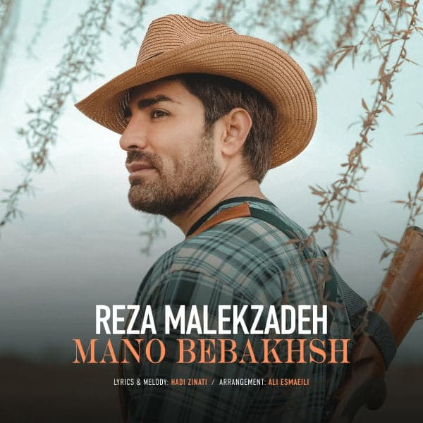 Mano Bebakhsh · Reza Malekzadeh
