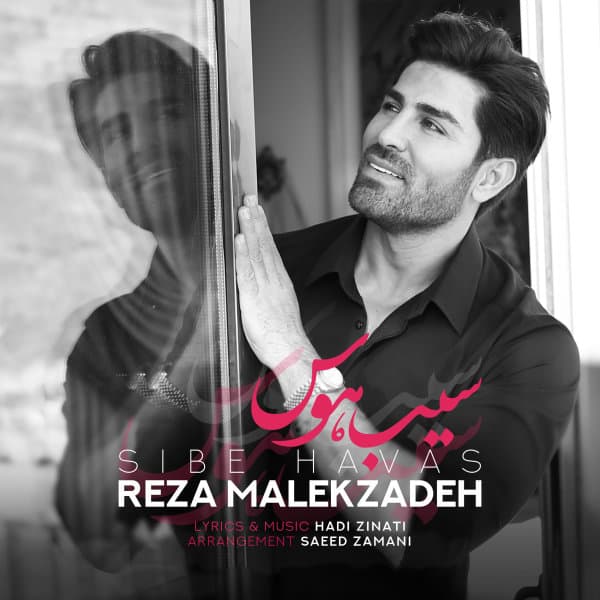 Sibe Havas · Reza Malekzadeh