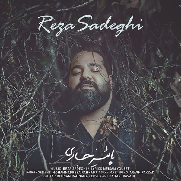 Paeize Jari · Reza Sadeghi