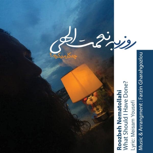 Chekar Mikardam · Roozbeh Nematollahi