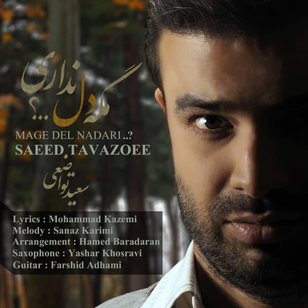 Mage Del Nadari · Saeed Tavazoee