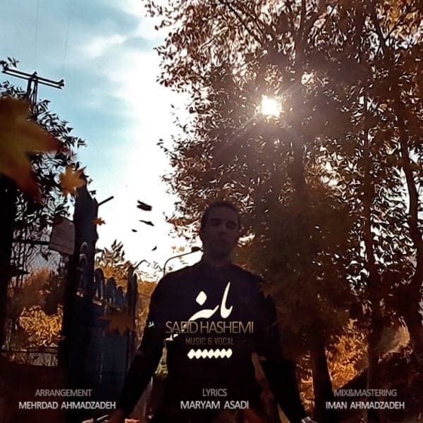 Paeiz · Saeid Hashemi