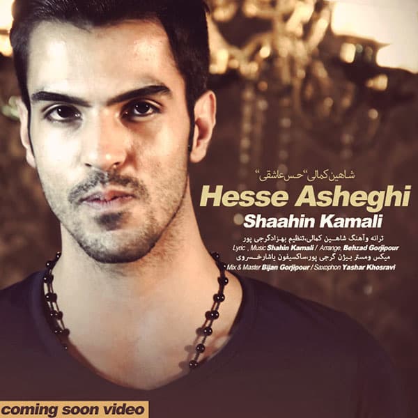 Hesse Asheghi · Shaahin Kamali