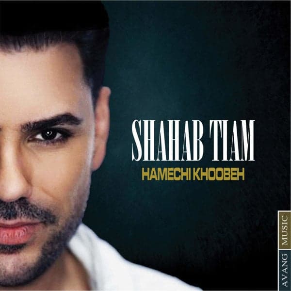 Hamechi Khoobeh · Shahab Tiam