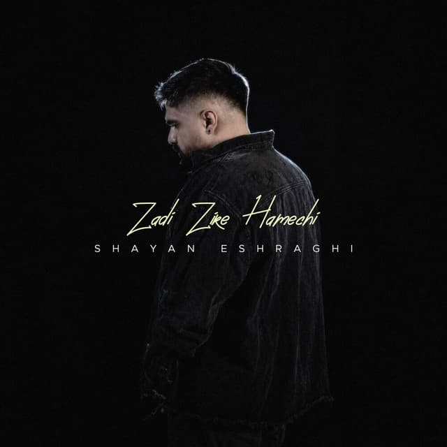 Zadi Zire Hamechi · Shayan Eshraghi