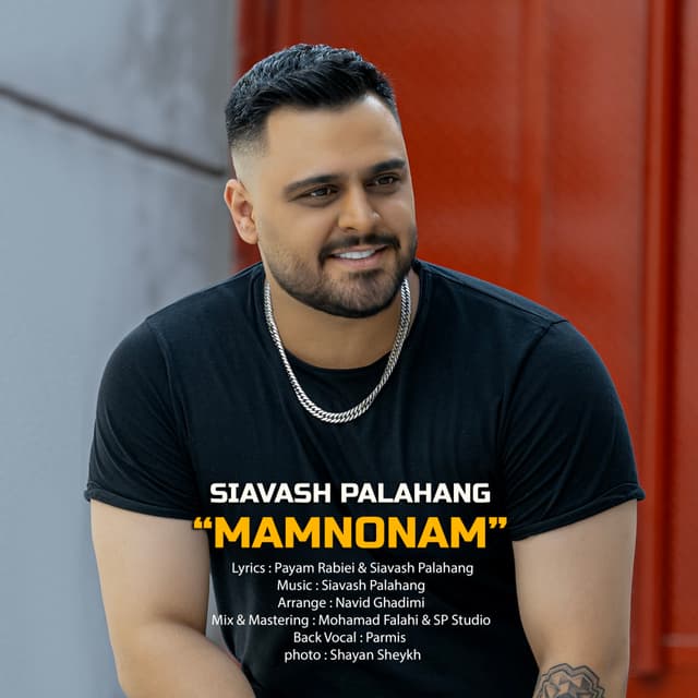 Mamnonam · Siavash Palahang