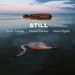 Still · Simin Tander, Hesam Inanlou, Navid Afghah