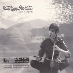 Pains 2 · Sina Alam, Homayoun Nasiri, & Afshin Babaei