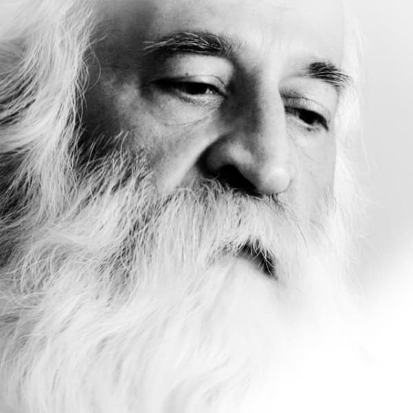 Dar Sooge Ostad Lotfi · Sina Sarlak