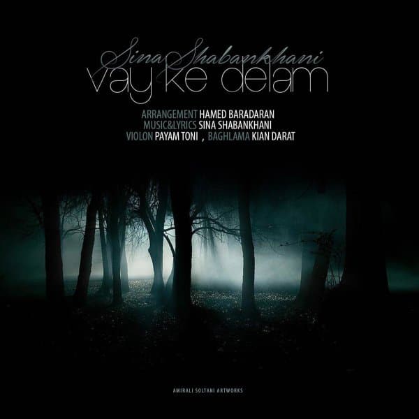 Vay Ke Delam · Sina Shabankhani
