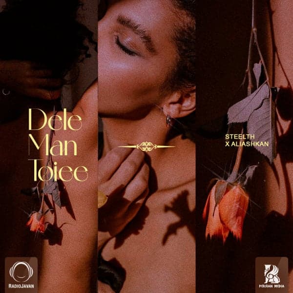 Dele Man Toiee · Steelth & Aliashkan