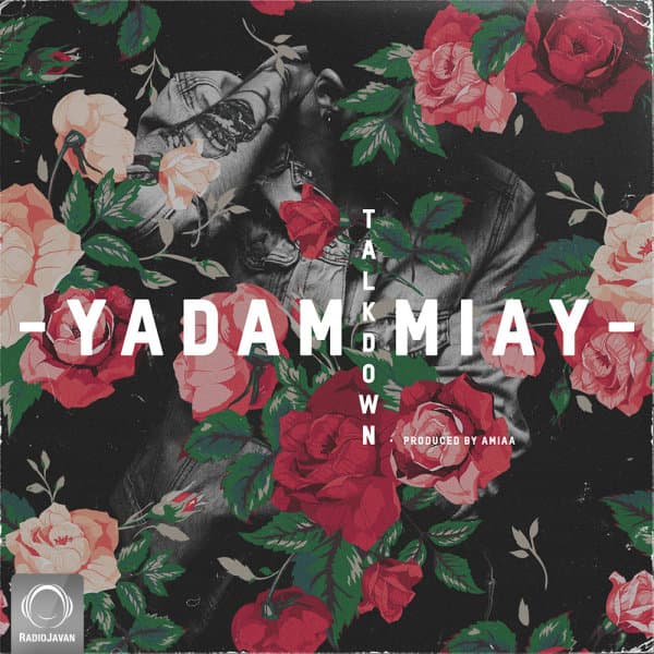 Yadam Miay · Talk Down