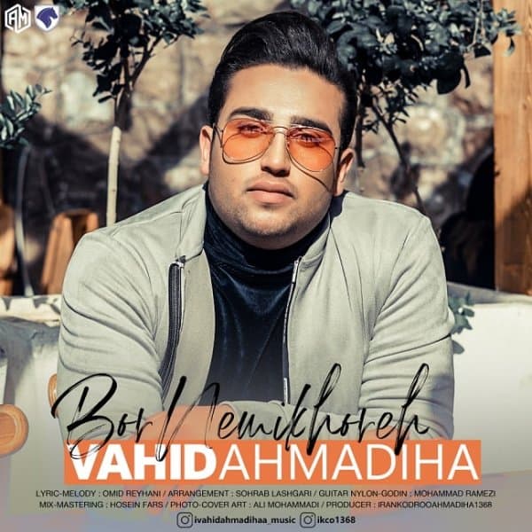 Bor Nemikhore · Vahid Ahmadiha